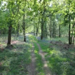 Wedding and reception venues