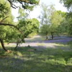 Wedding and reception venues